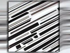 Body Side Moldings
