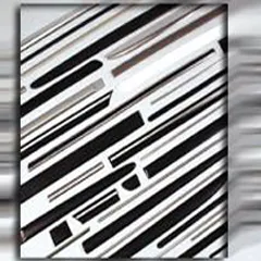 Body Side Moldings