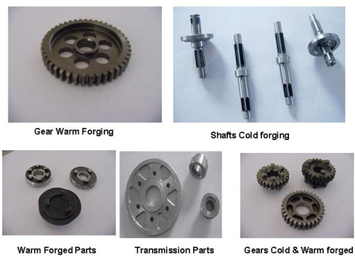 Cold & Warm Forging Components